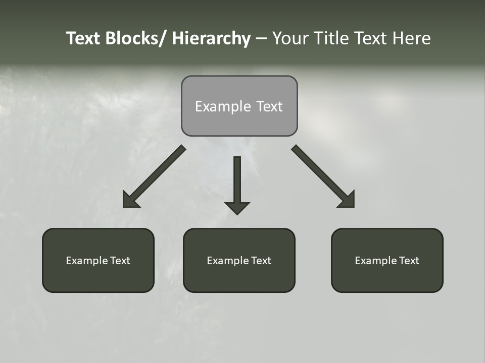 Yellowstone Wildlife Animal PowerPoint Template