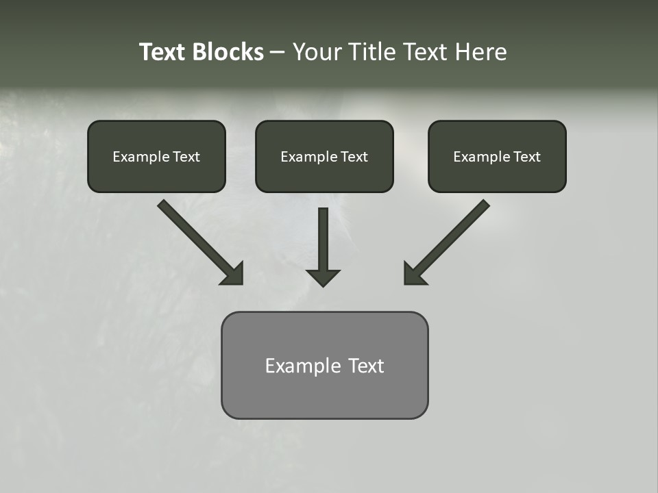 Yellowstone Wildlife Animal PowerPoint Template