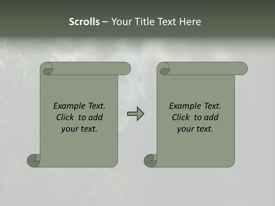 Yellowstone Wildlife Animal PowerPoint Template