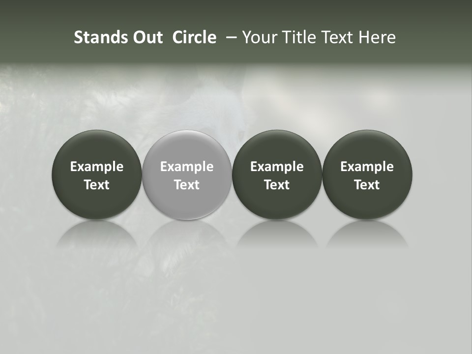 Yellowstone Wildlife Animal PowerPoint Template