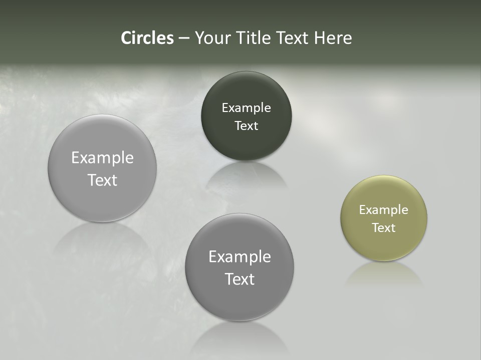 Yellowstone Wildlife Animal PowerPoint Template