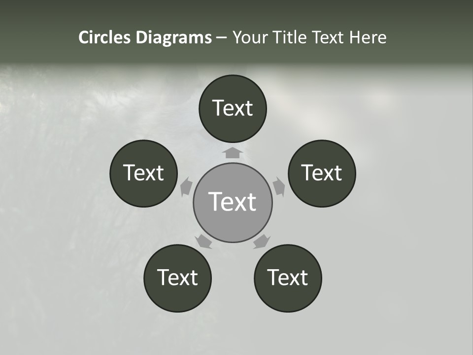 Yellowstone Wildlife Animal PowerPoint Template