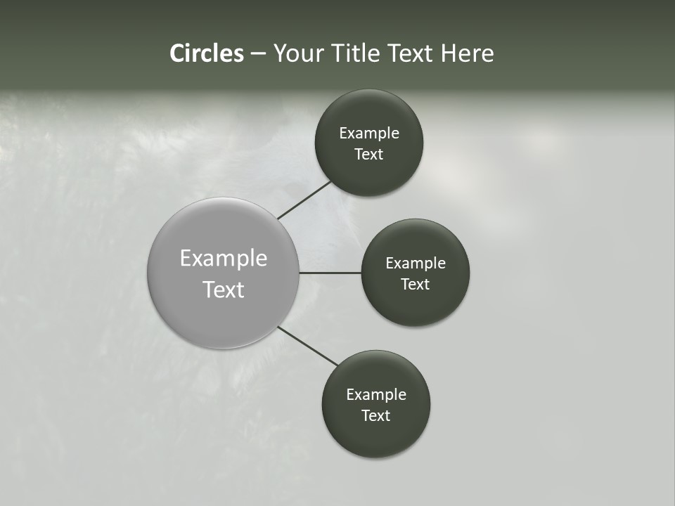 Yellowstone Wildlife Animal PowerPoint Template