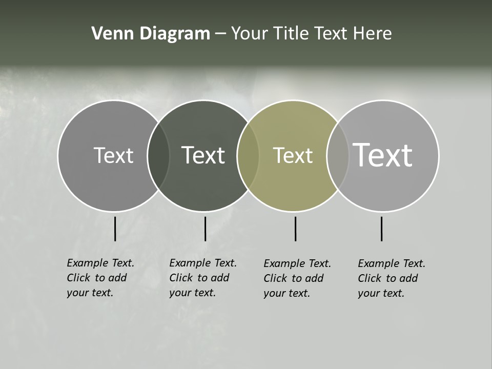 Yellowstone Wildlife Animal PowerPoint Template