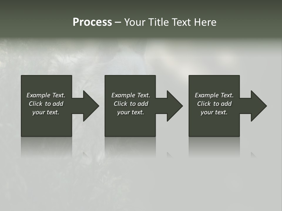 Yellowstone Wildlife Animal PowerPoint Template