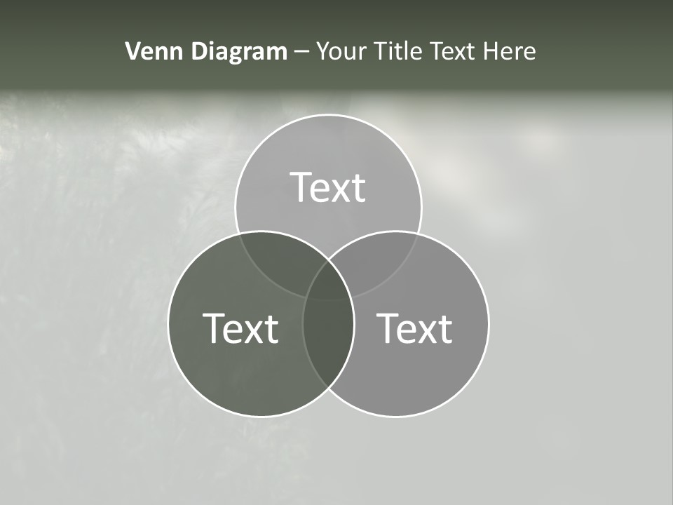 Yellowstone Wildlife Animal PowerPoint Template