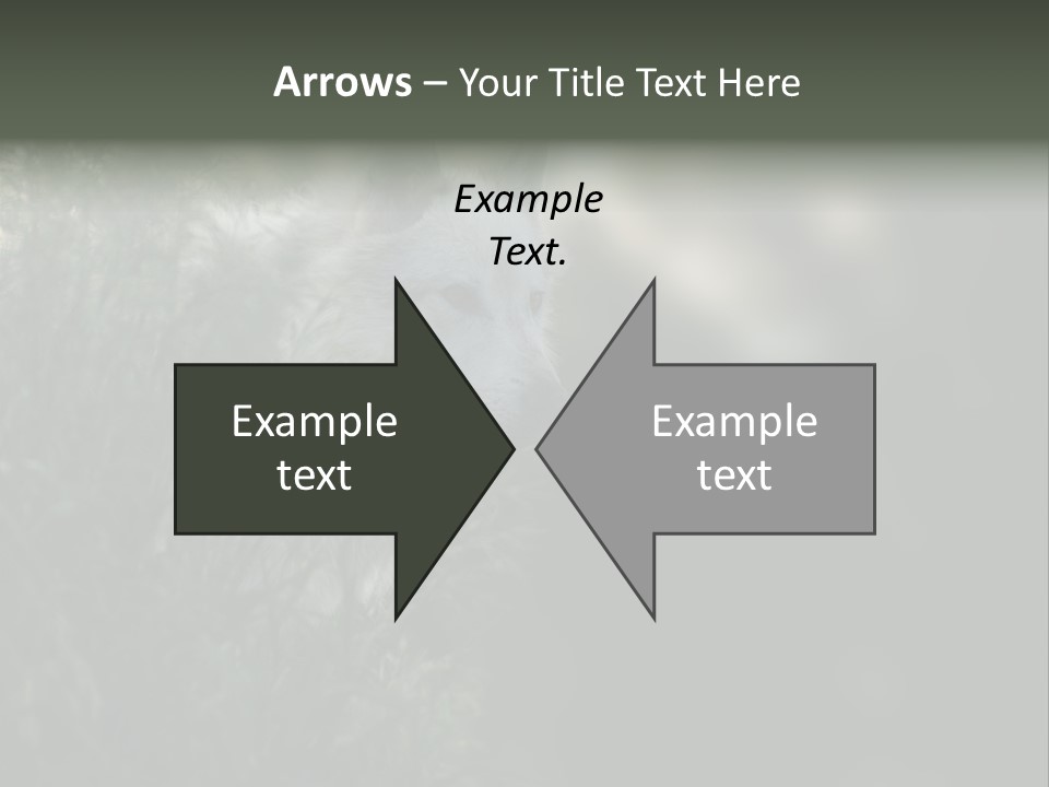 Yellowstone Wildlife Animal PowerPoint Template