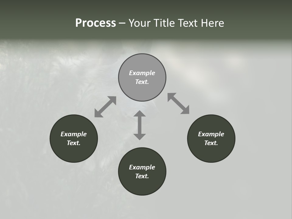 Yellowstone Wildlife Animal PowerPoint Template