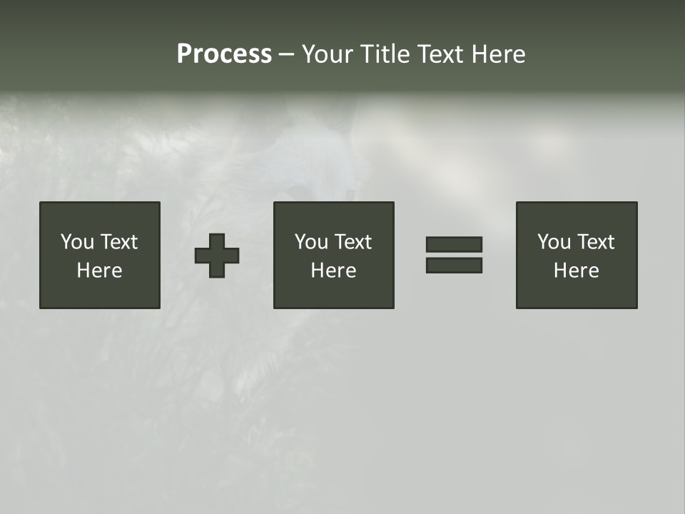 Yellowstone Wildlife Animal PowerPoint Template