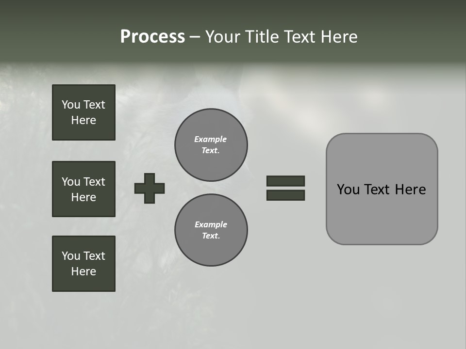 Yellowstone Wildlife Animal PowerPoint Template