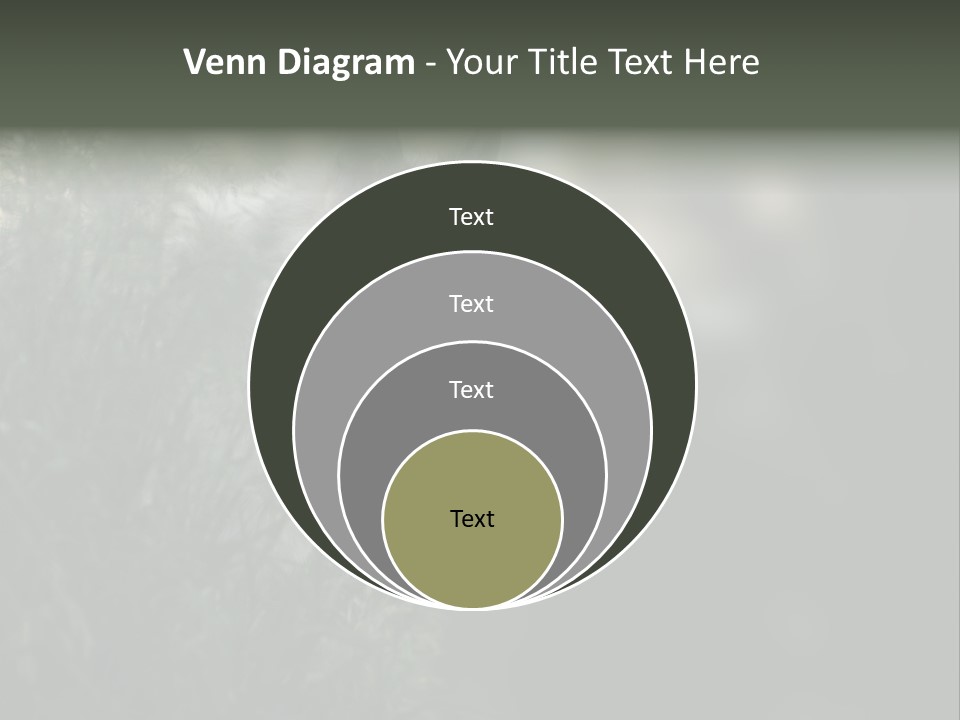 Yellowstone Wildlife Animal PowerPoint Template