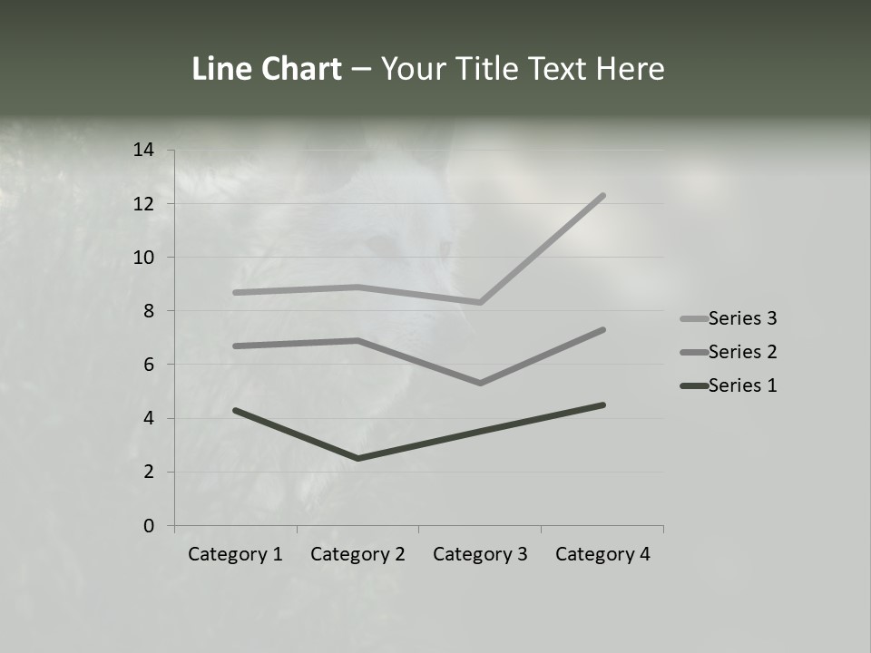 Yellowstone Wildlife Animal PowerPoint Template