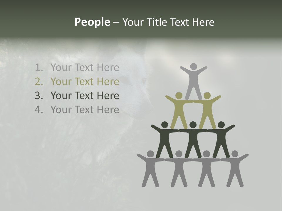 Yellowstone Wildlife Animal PowerPoint Template