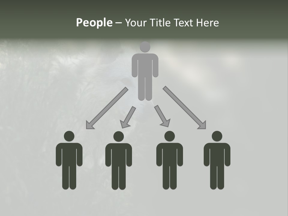 Yellowstone Wildlife Animal PowerPoint Template