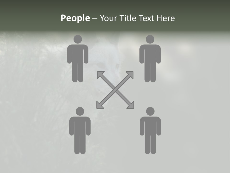 Yellowstone Wildlife Animal PowerPoint Template