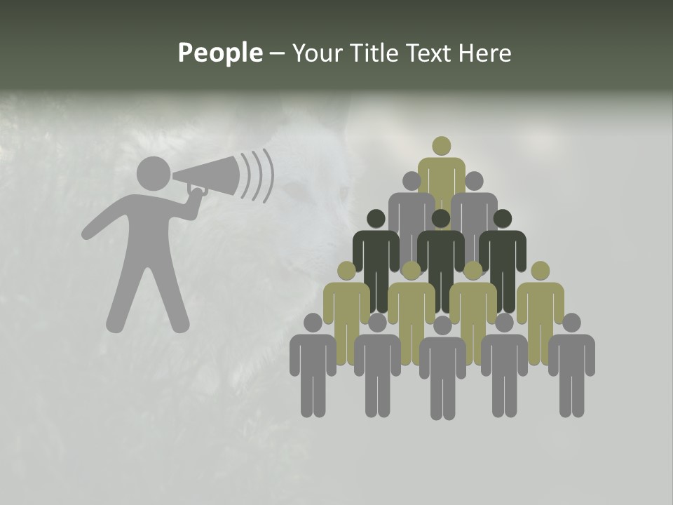 Yellowstone Wildlife Animal PowerPoint Template