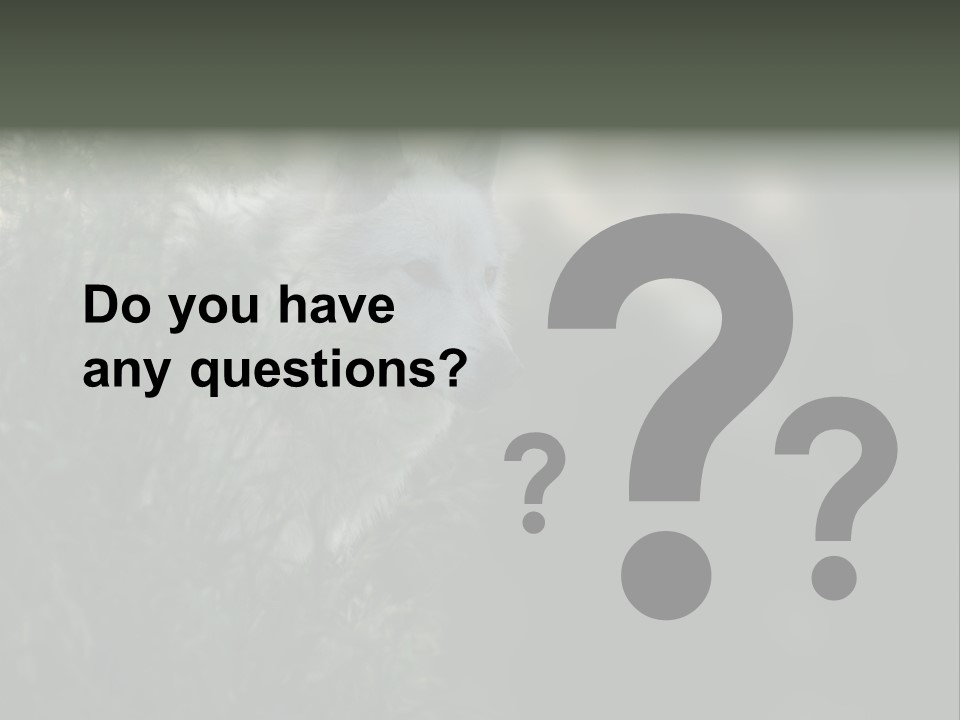 Yellowstone Wildlife Animal PowerPoint Template