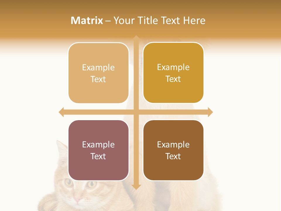 Lying Spitz Portrait PowerPoint Template