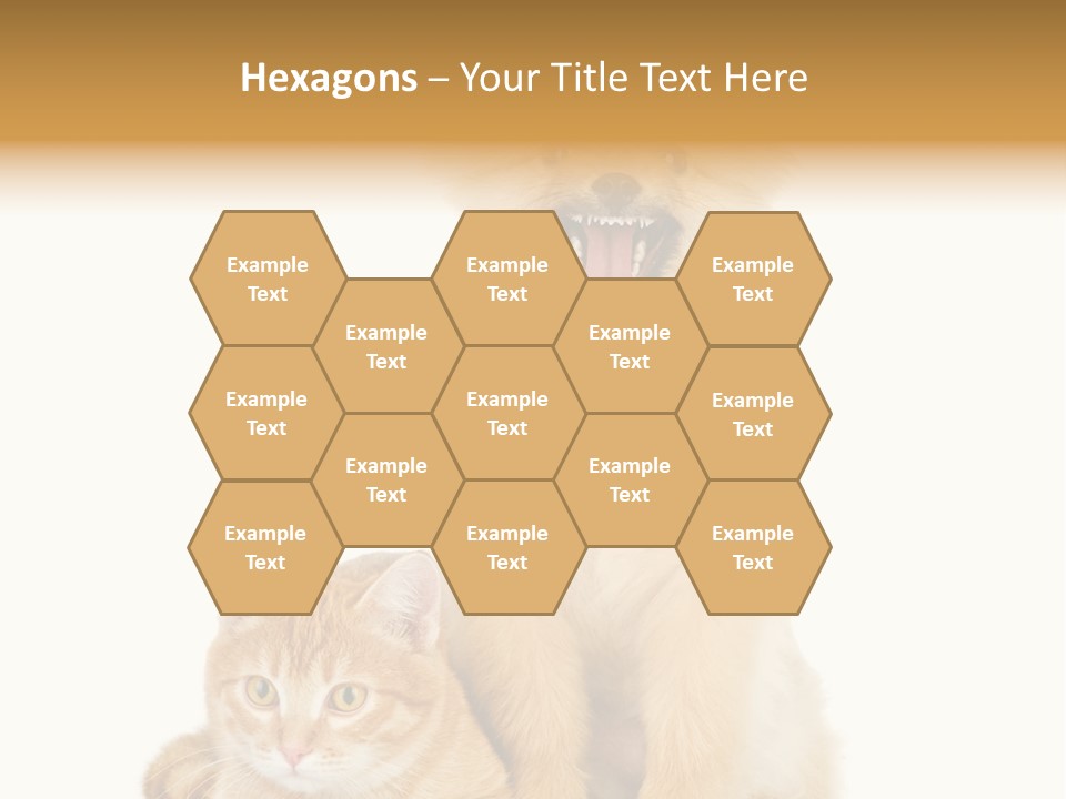 Lying Spitz Portrait PowerPoint Template