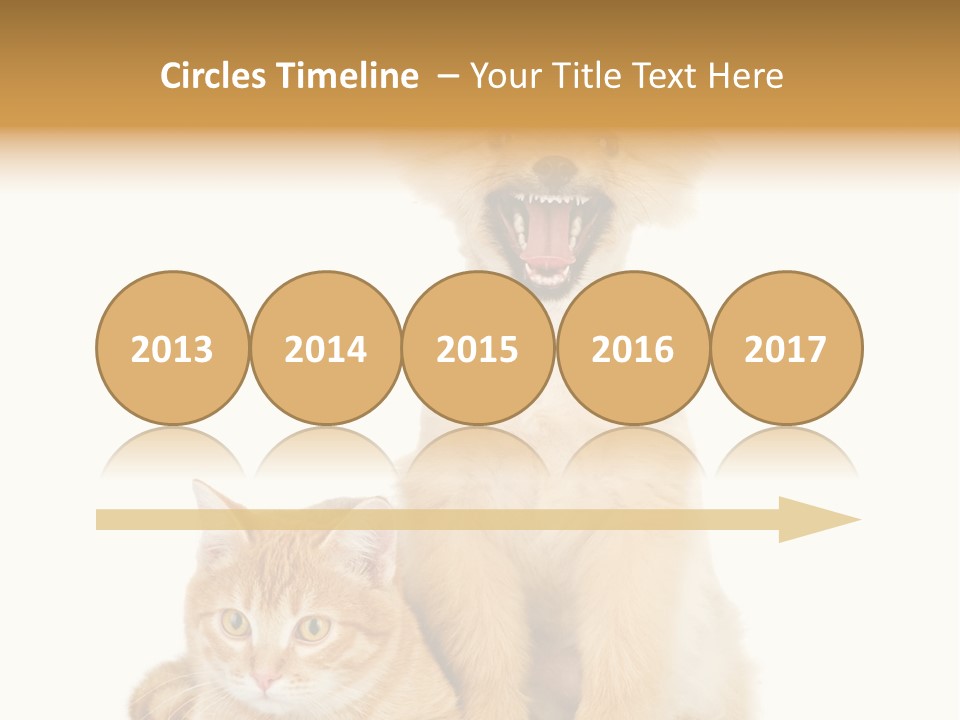 Lying Spitz Portrait PowerPoint Template