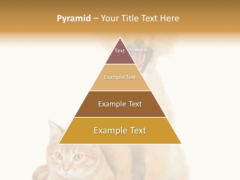 Lying Spitz Portrait PowerPoint Template