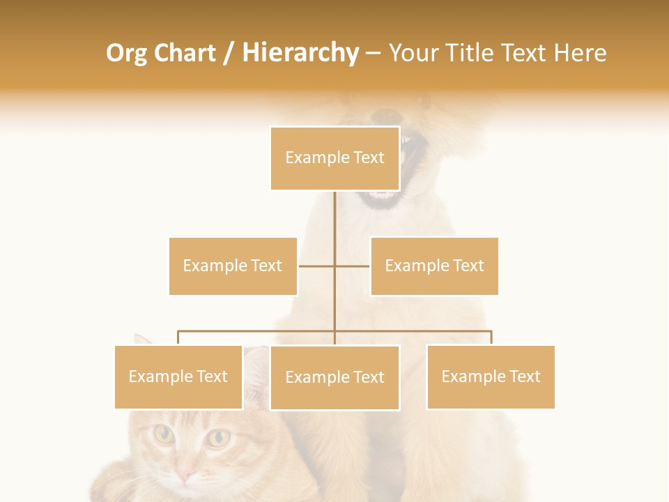 Lying Spitz Portrait PowerPoint Template