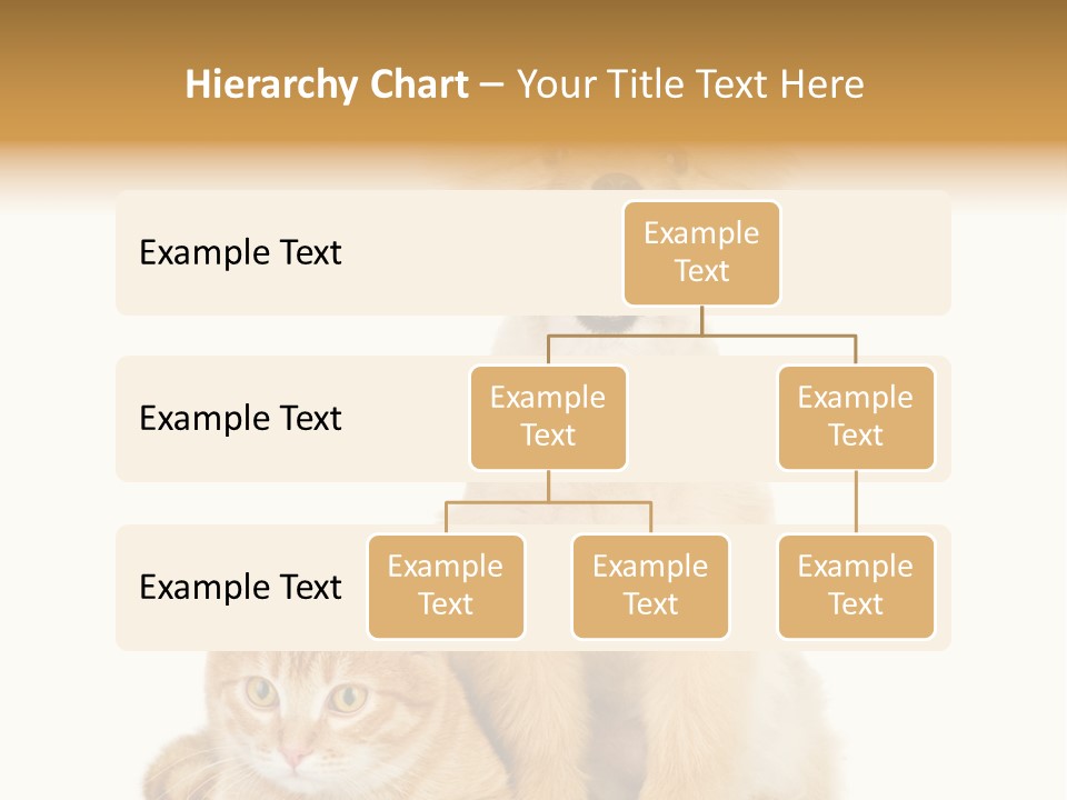 Lying Spitz Portrait PowerPoint Template