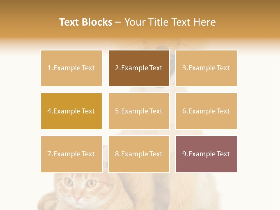 Lying Spitz Portrait PowerPoint Template