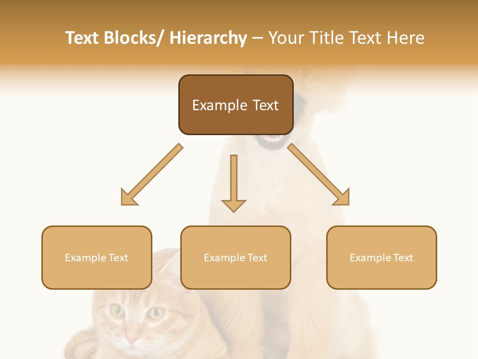 Lying Spitz Portrait PowerPoint Template