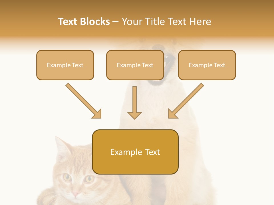 Lying Spitz Portrait PowerPoint Template