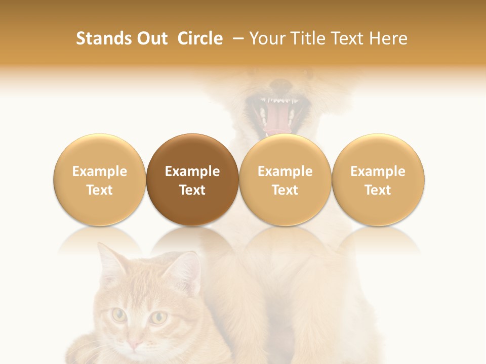 Lying Spitz Portrait PowerPoint Template