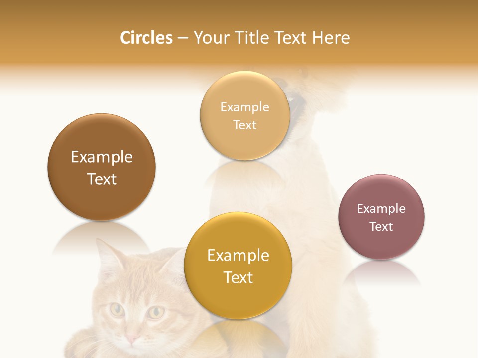 Lying Spitz Portrait PowerPoint Template