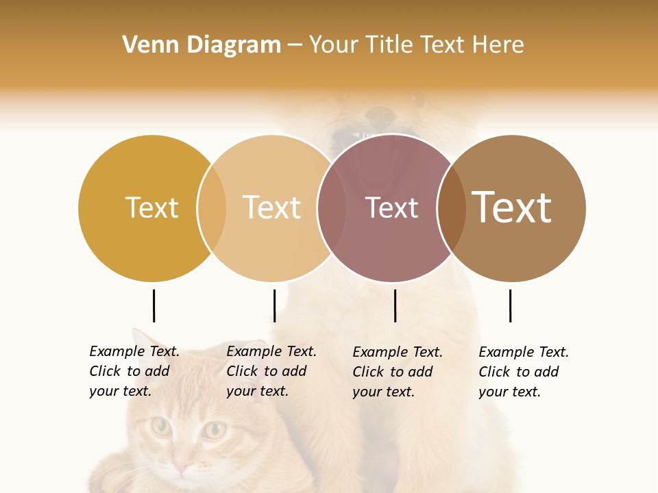 Lying Spitz Portrait PowerPoint Template