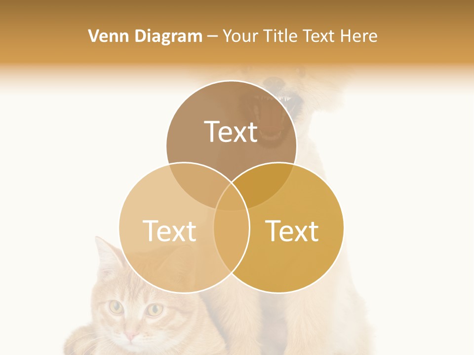 Lying Spitz Portrait PowerPoint Template