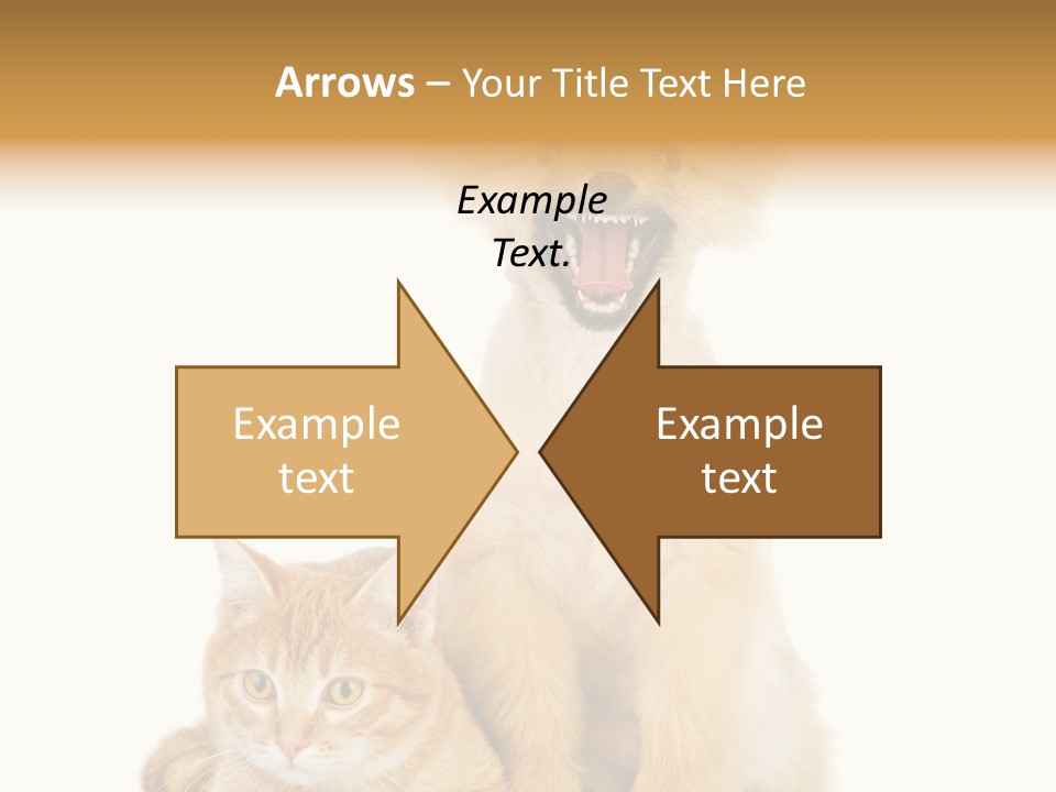 Lying Spitz Portrait PowerPoint Template