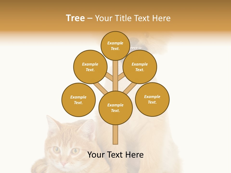 Lying Spitz Portrait PowerPoint Template