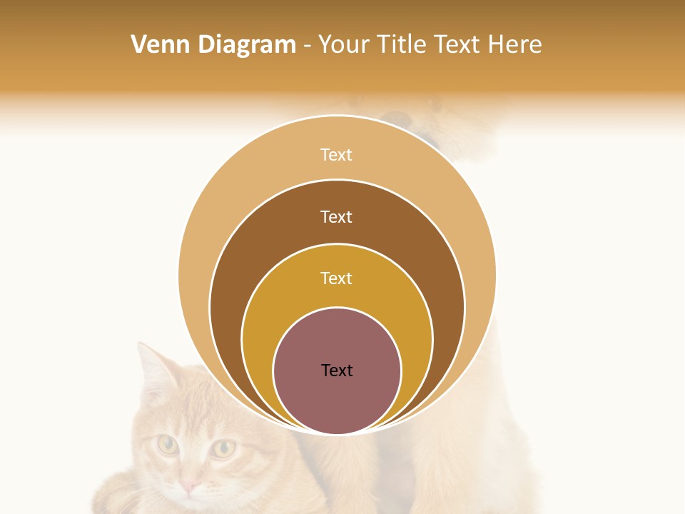 Lying Spitz Portrait PowerPoint Template