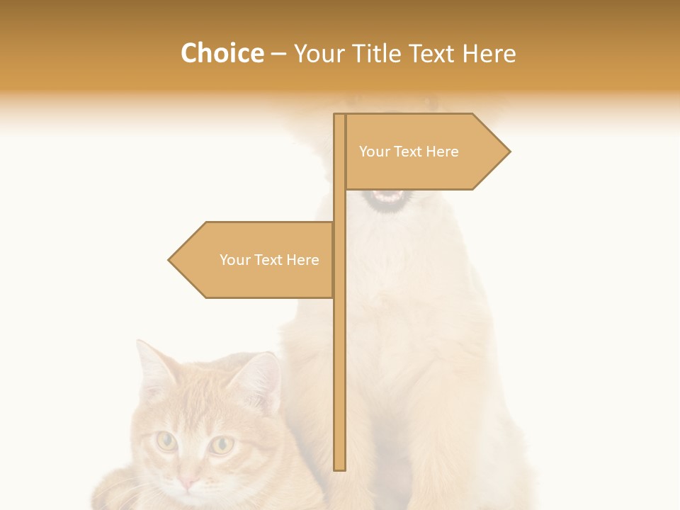 Lying Spitz Portrait PowerPoint Template