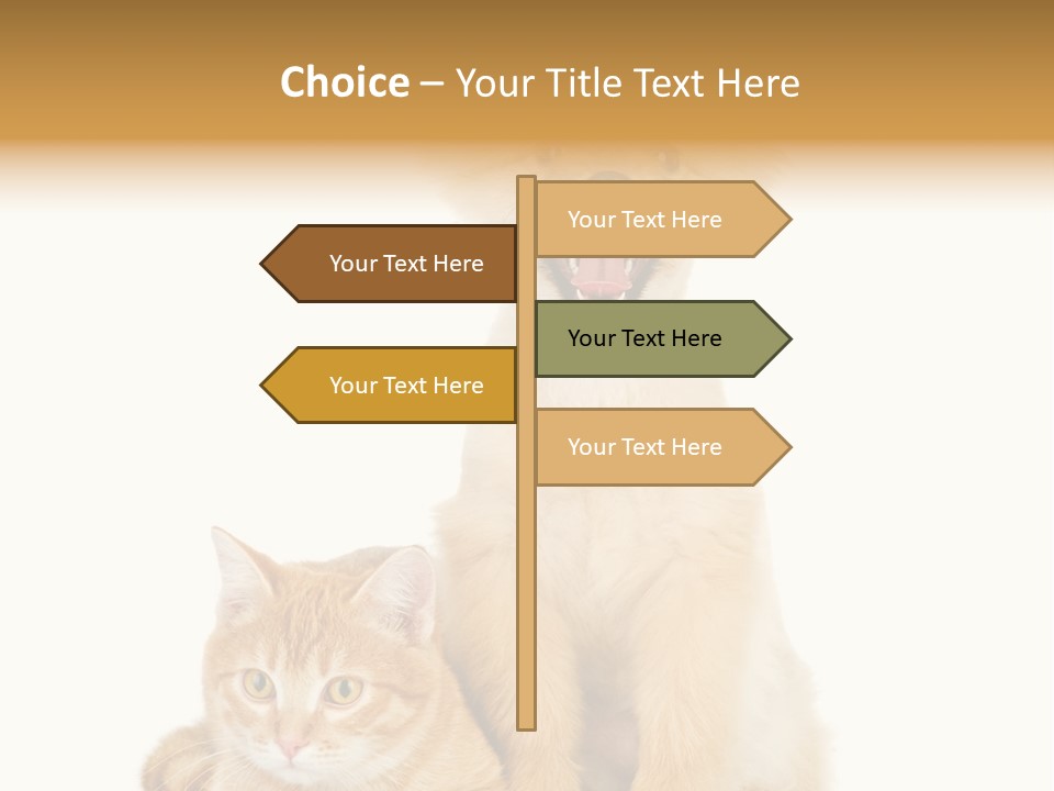 Lying Spitz Portrait PowerPoint Template