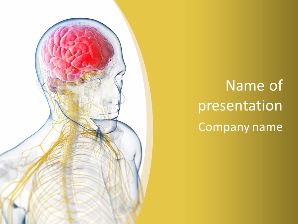Brain Pain Biology PowerPoint Template
