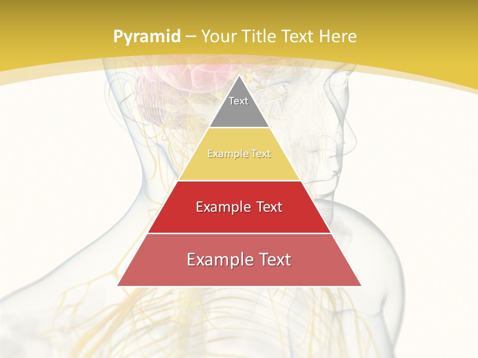 Brain Pain Biology PowerPoint Template