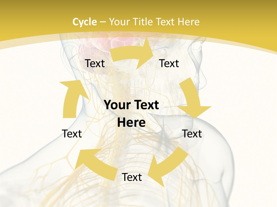 Brain Pain Biology PowerPoint Template