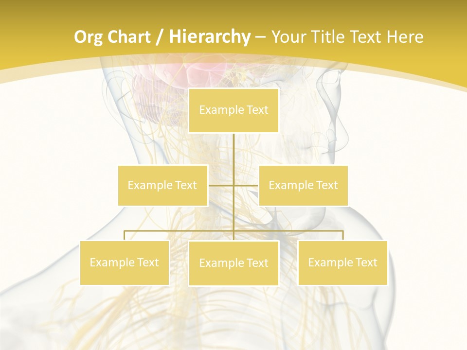 Brain Pain Biology PowerPoint Template