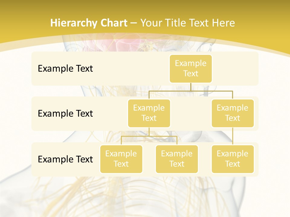 Brain Pain Biology PowerPoint Template