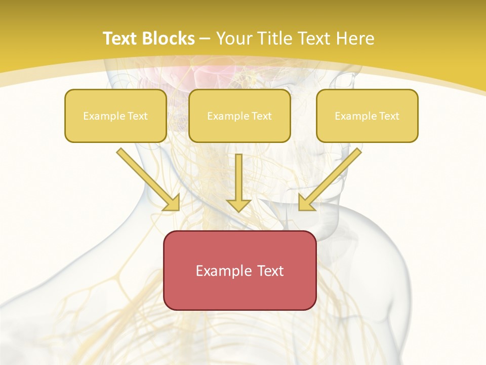 Brain Pain Biology PowerPoint Template