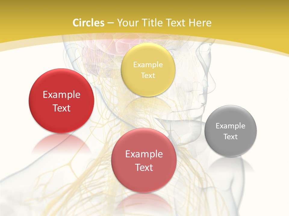 Brain Pain Biology PowerPoint Template