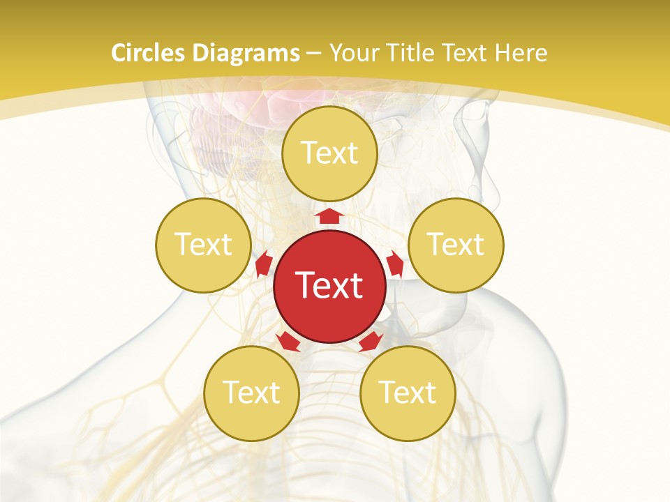 Brain Pain Biology PowerPoint Template