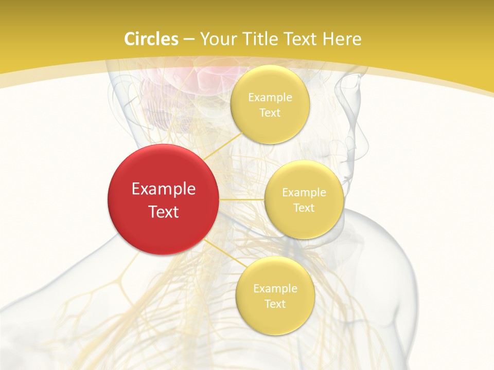 Brain Pain Biology PowerPoint Template