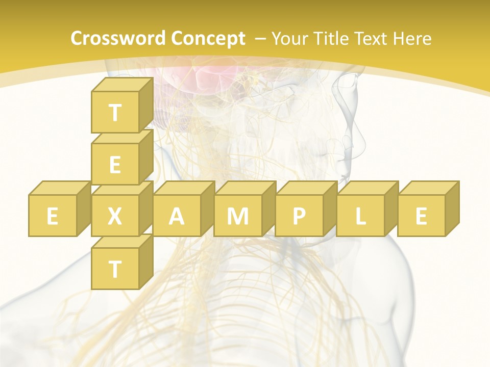 Brain Pain Biology PowerPoint Template