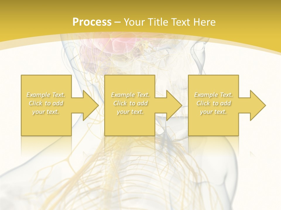 Brain Pain Biology PowerPoint Template